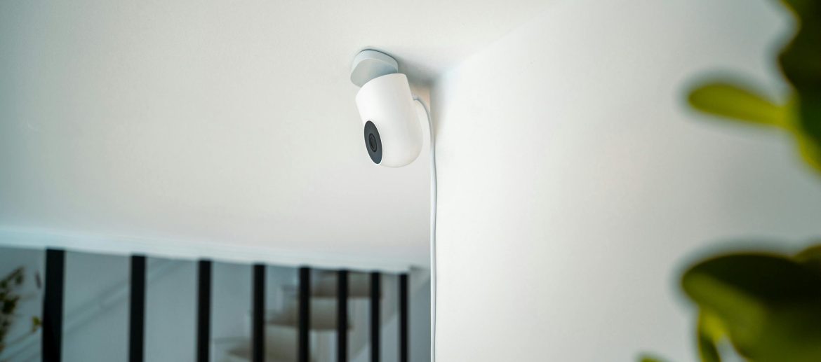 pexels-jakubzerdzicki-24783389 pexels-jakubzerdzicki-24783389